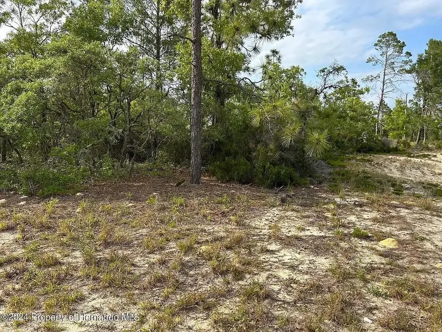 2923 W Pintado Drive, Citrus Springs, FL 34433 - #3