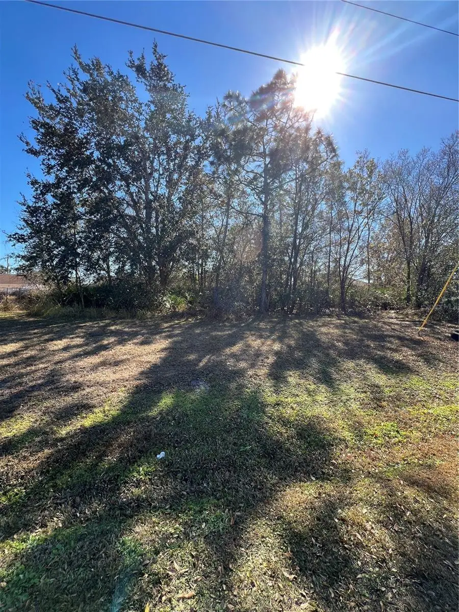 Cambourne Drive, Kissimmee, FL 34758 - #2