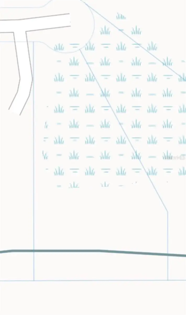 Nutmeg Street, Orlando, FL 32833 - #1