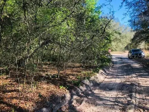 Oakridge Drive, LADY LAKE, FL 32159