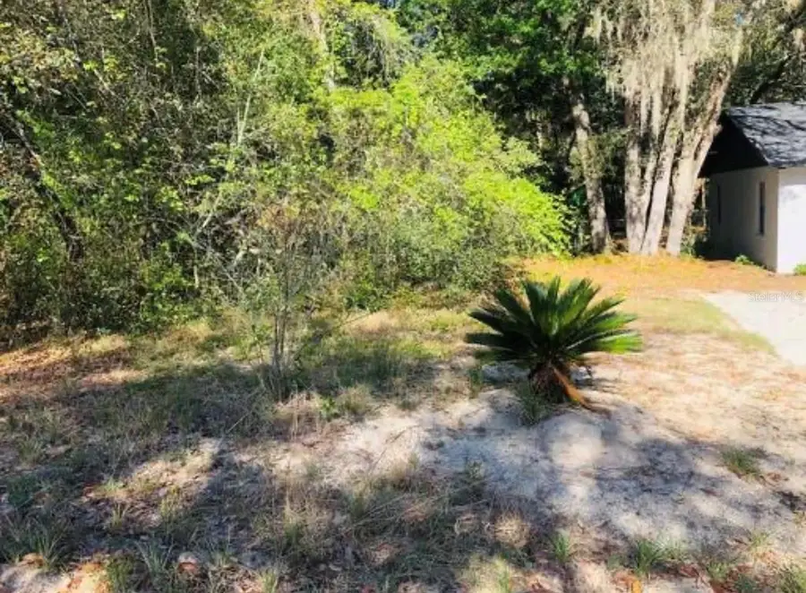 Oakridge Drive, Lady Lake, FL 32159 - #3