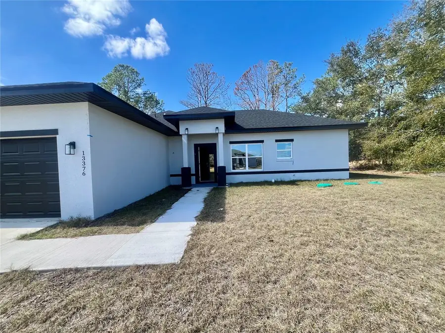 13376 SW 49th Ave, Ocala, FL 34473 - #3