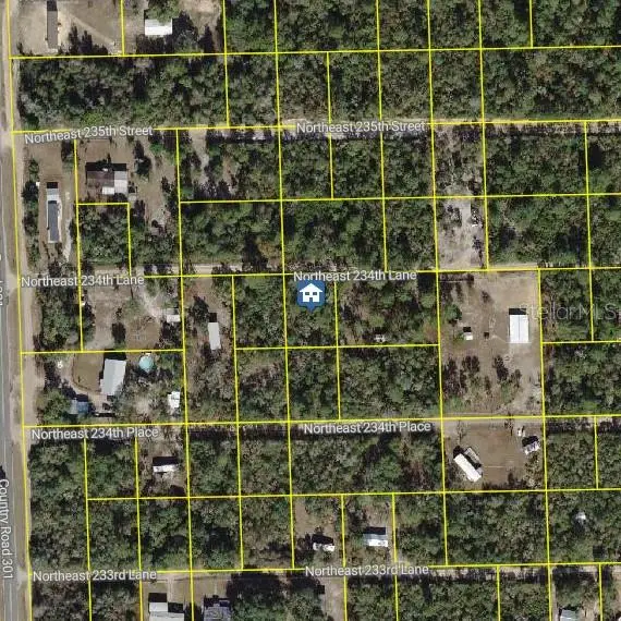 15350 NE 234th Lane, Fort McCoy, FL 32134 - #1