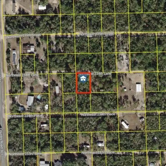 15350 NE 234th Lane, Fort McCoy, FL 32134 - #2