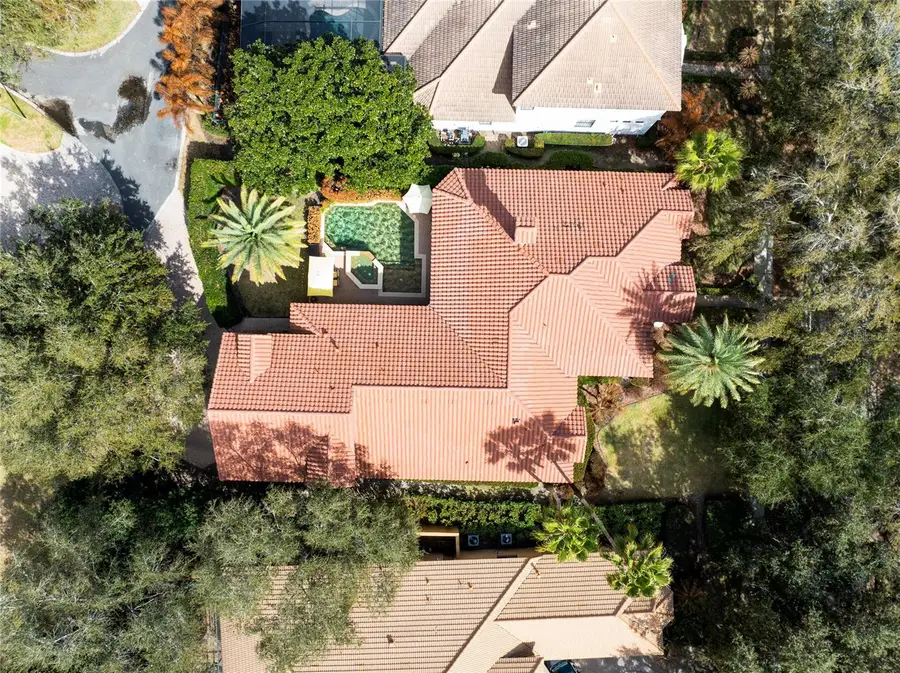 6330 Lake Burden View Drive, Windermere, FL 34786 - #3