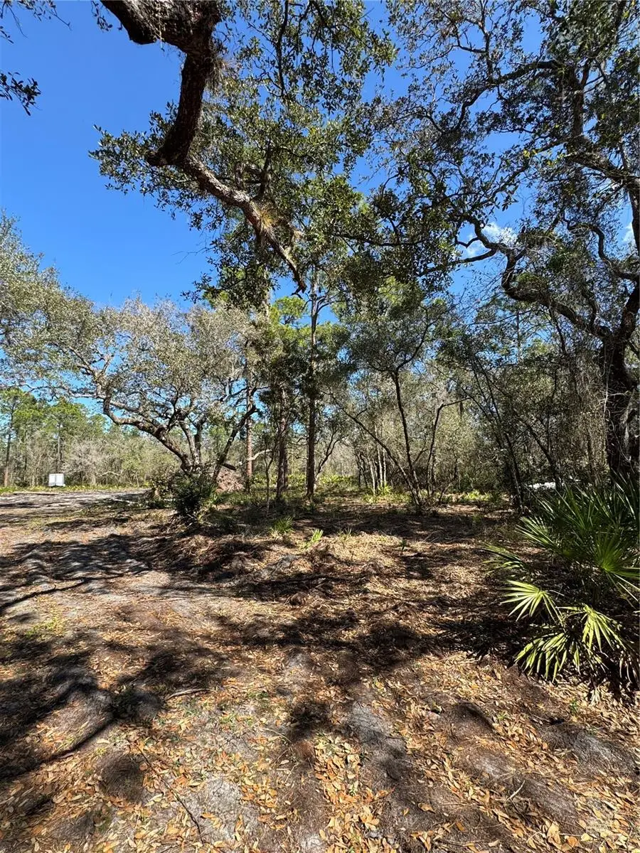 South Shore Dr, Lake Wales, FL 33898 - #2