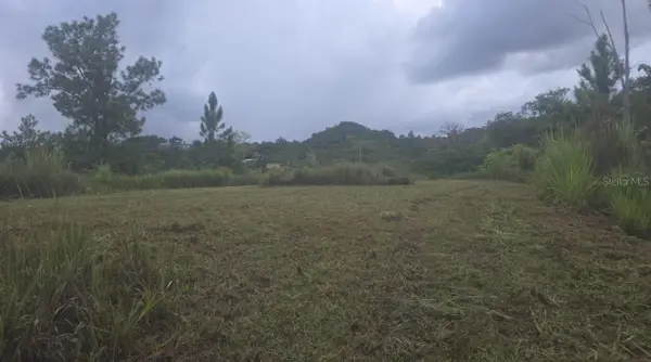 31 Fort Myers Drive, INDIAN LAKE ESTATES, FL 33855