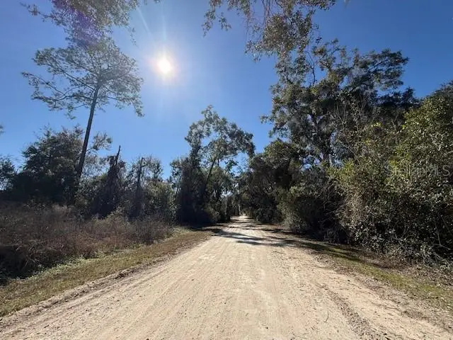 Ne Seventeenth Avenue, Trenton, FL 32693 - #3