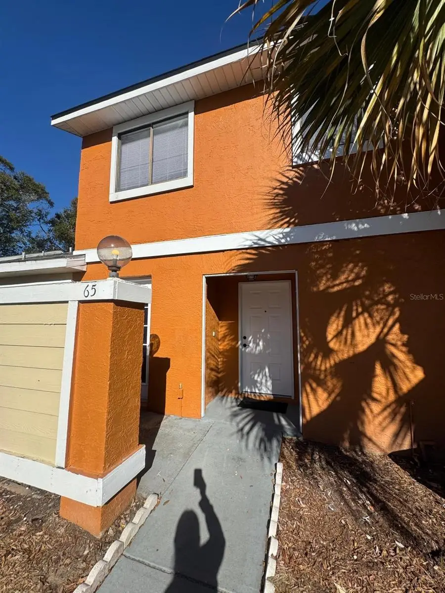 65 Silver Falls Circle, Kissimmee, FL 34743 - #1