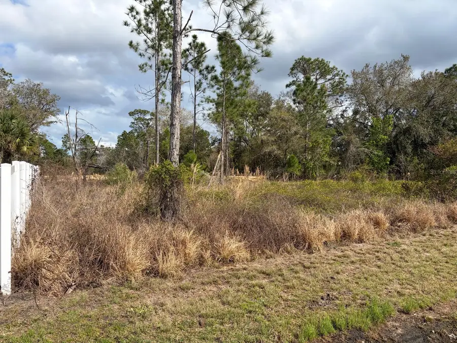 202 Spoonbill Drive, Poinciana, FL 34759 - #2