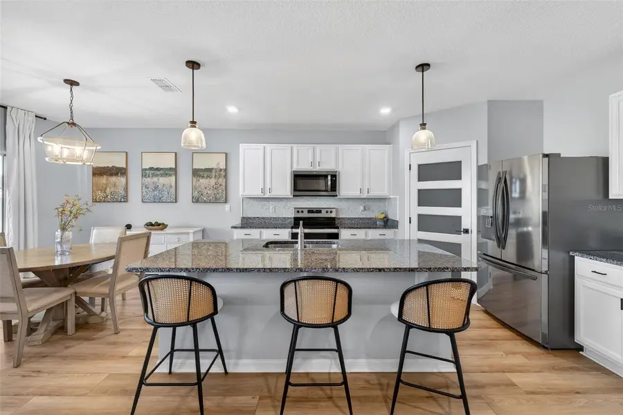 4893 Panga Avenue, Mount Dora, FL 32757 - #2