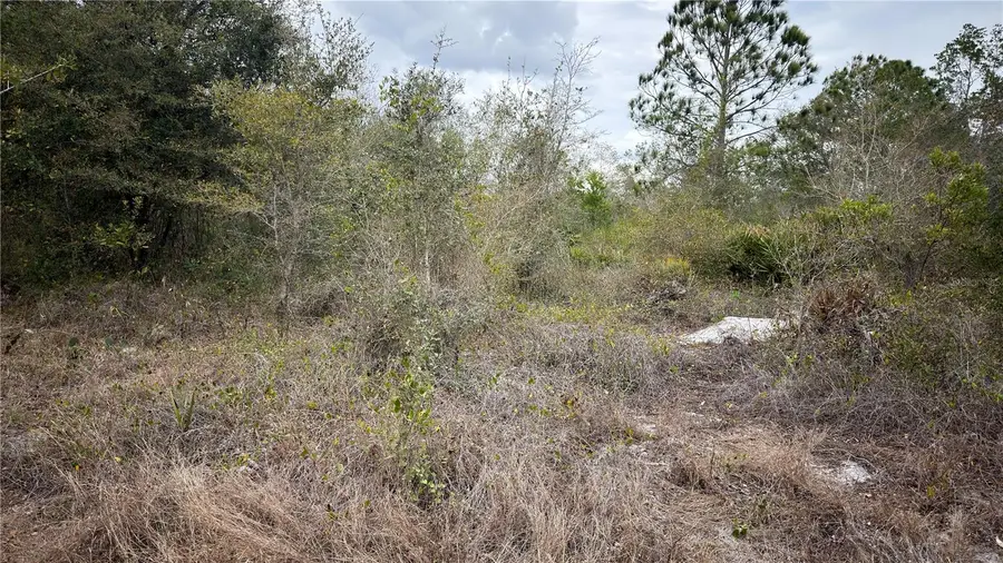 336 Pershing Avenue, Lake Placid, FL 33852 - #2