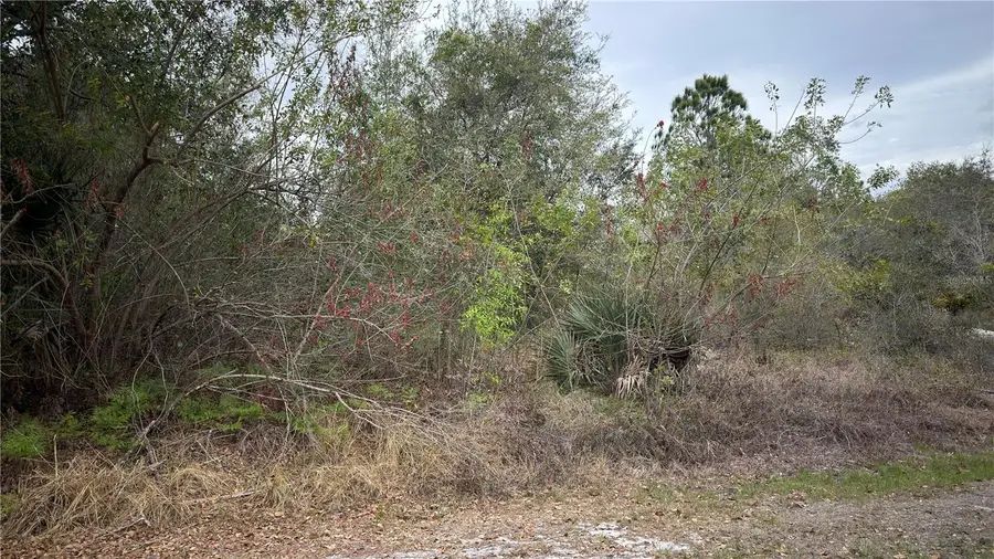 336 Pershing Avenue, Lake Placid, FL 33852 - #3