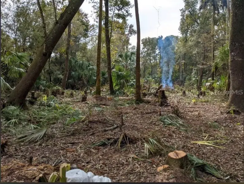 11939 W Wildflower Street, Crystal River, FL 34428 - #1