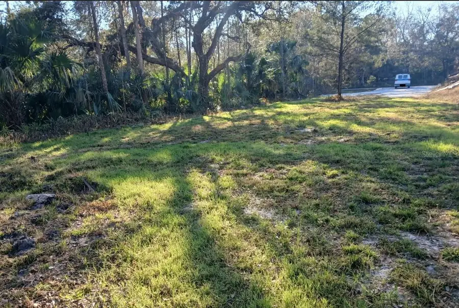 1013 Cupid Avenue, Christmas, FL 32709 - #2