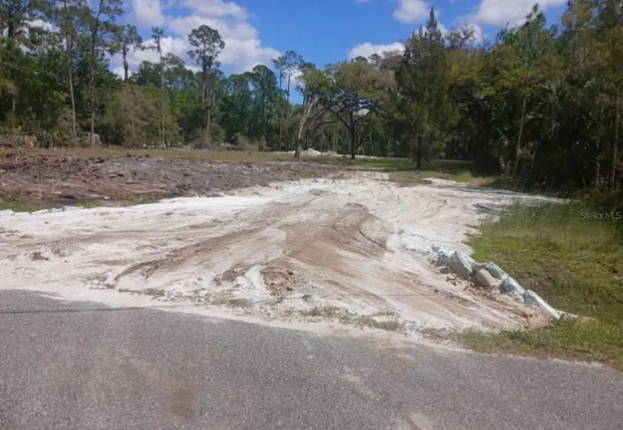 1013 Cupid Avenue, Christmas, FL 32709 - #3