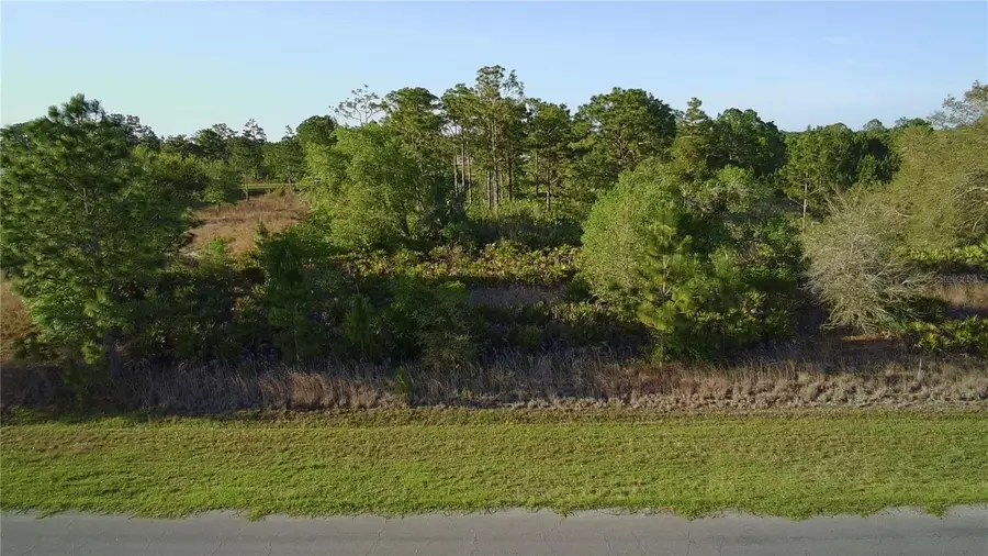 Reynolds Parkway, Orlando, FL 32833 - #2