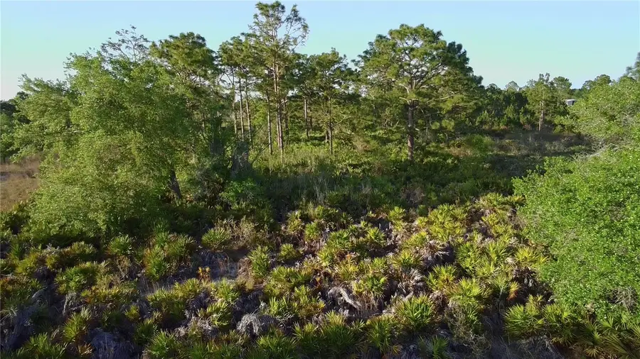 Reynolds Parkway, Orlando, FL 32833 - #3