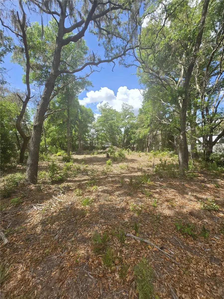 8140 Walt Williams Road, Lakeland, FL 33809 - #3