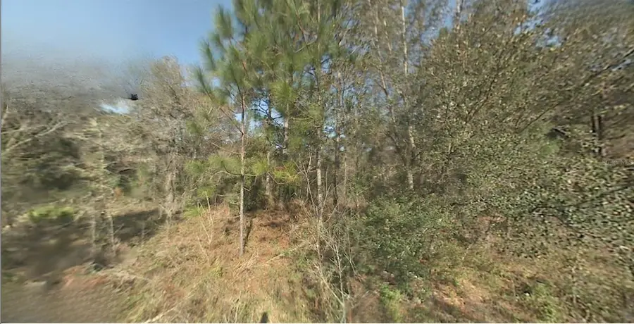 SW 22nd Street, Ocala, FL 34481 - #2