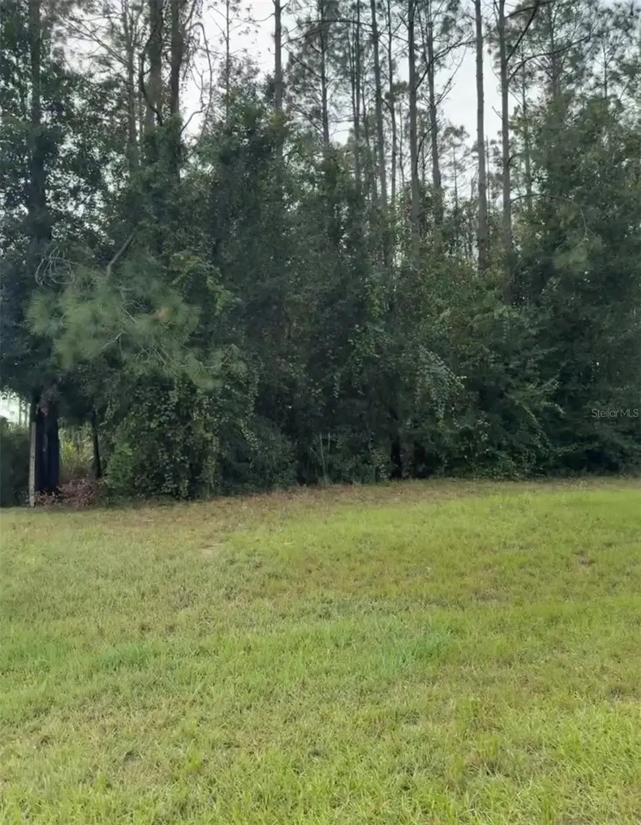 Lake Smith Road, Umatilla, FL 32784 - #1