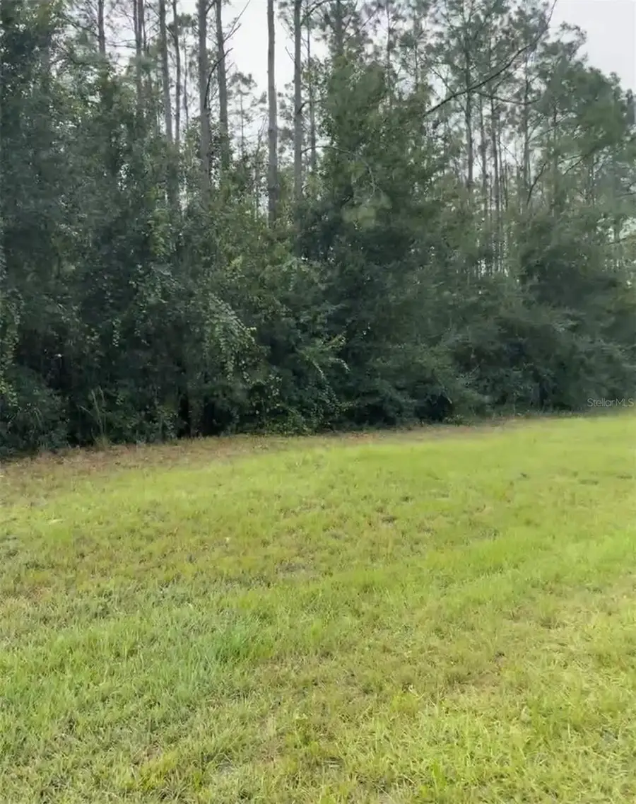 Lake Smith Road, Umatilla, FL 32784 - #2