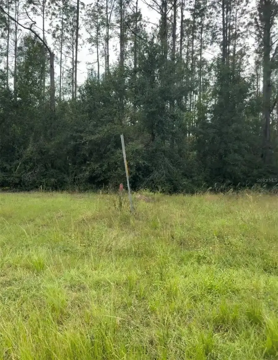 Lake Smith Road, Umatilla, FL 32784 - #3