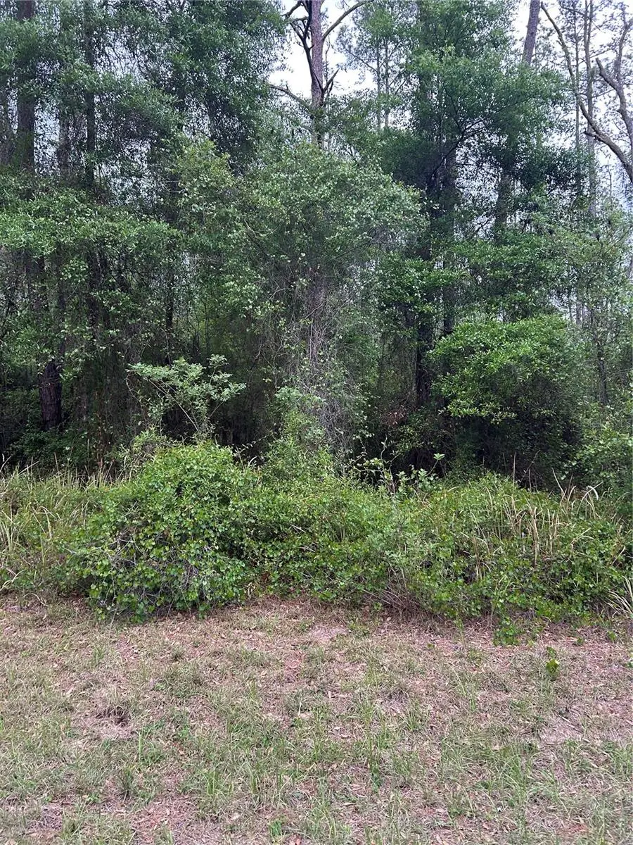 6265 N Allston Terrace, Dunnellon, FL 34433 - #1