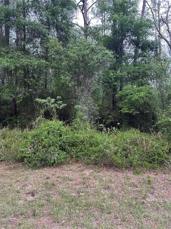 6265 N Allston Terrace, DUNNELLON, FL 34433