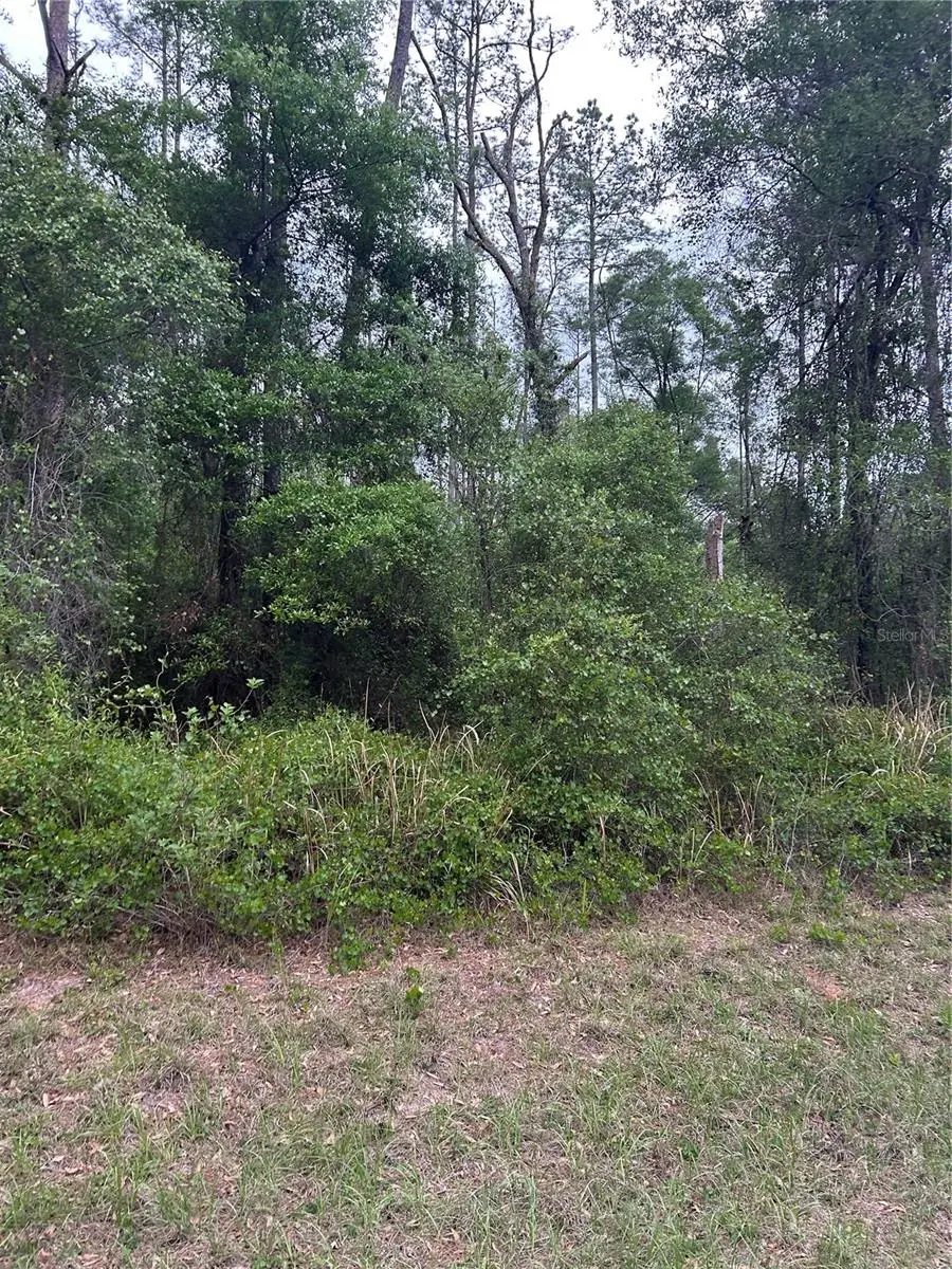 6265 N Allston Terrace, Dunnellon, FL 34433 - #2