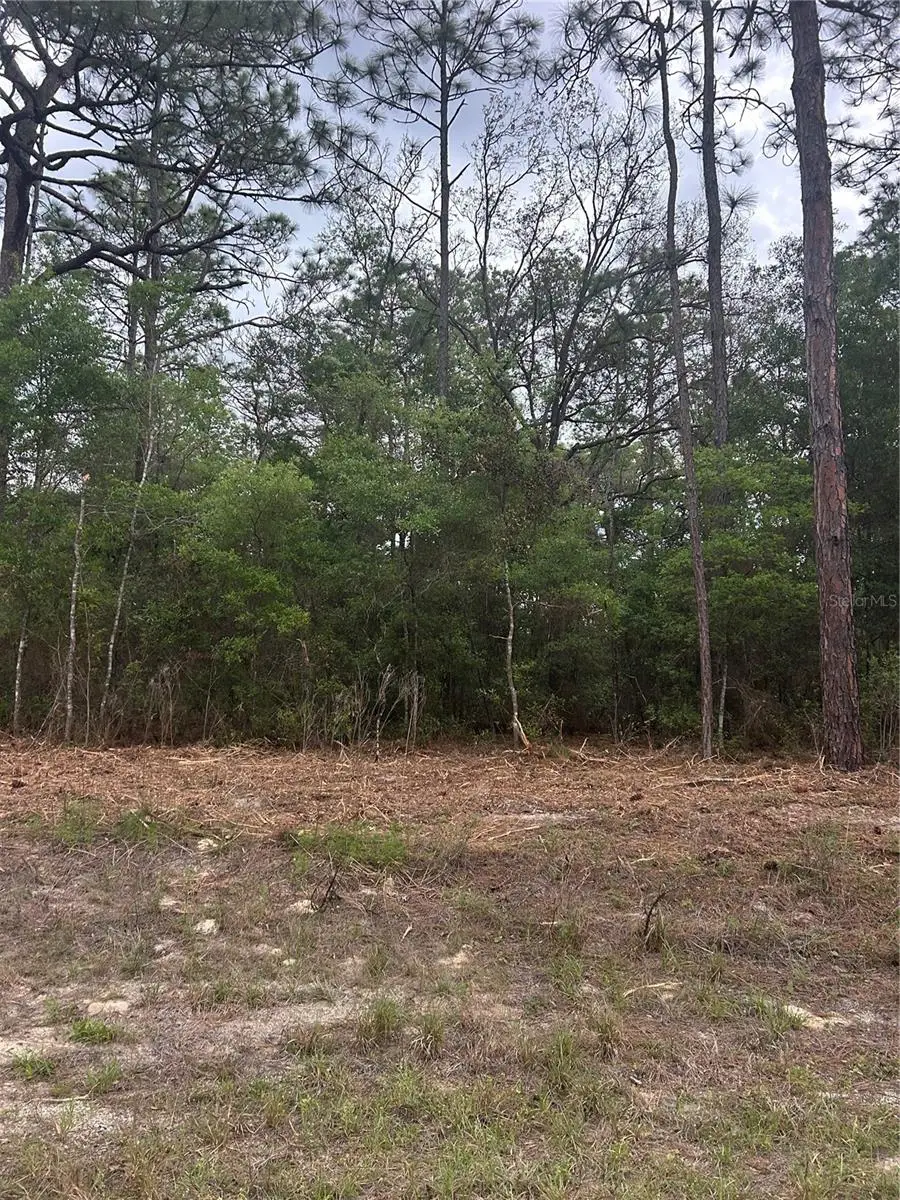 10831 N Mataro Avenue, Citrus Springs, FL 34434 - #1