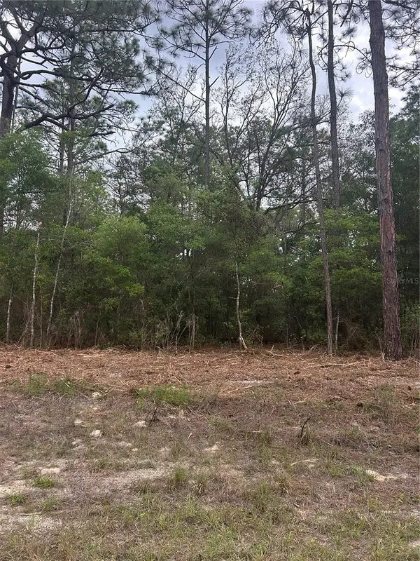 10831 N Mataro Avenue, CITRUS SPRINGS, FL 34434