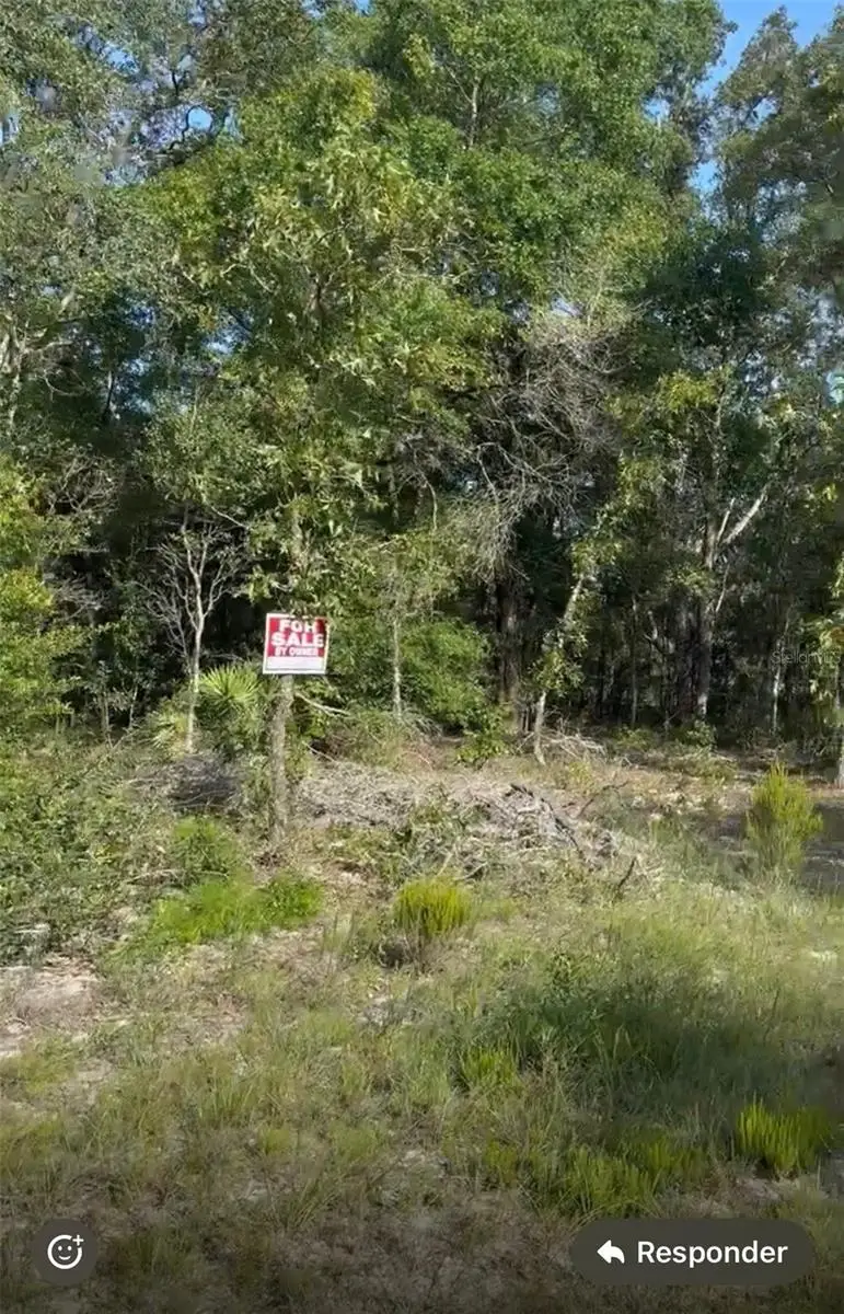 NE 97th Court, Bronson, FL 32621 - #2