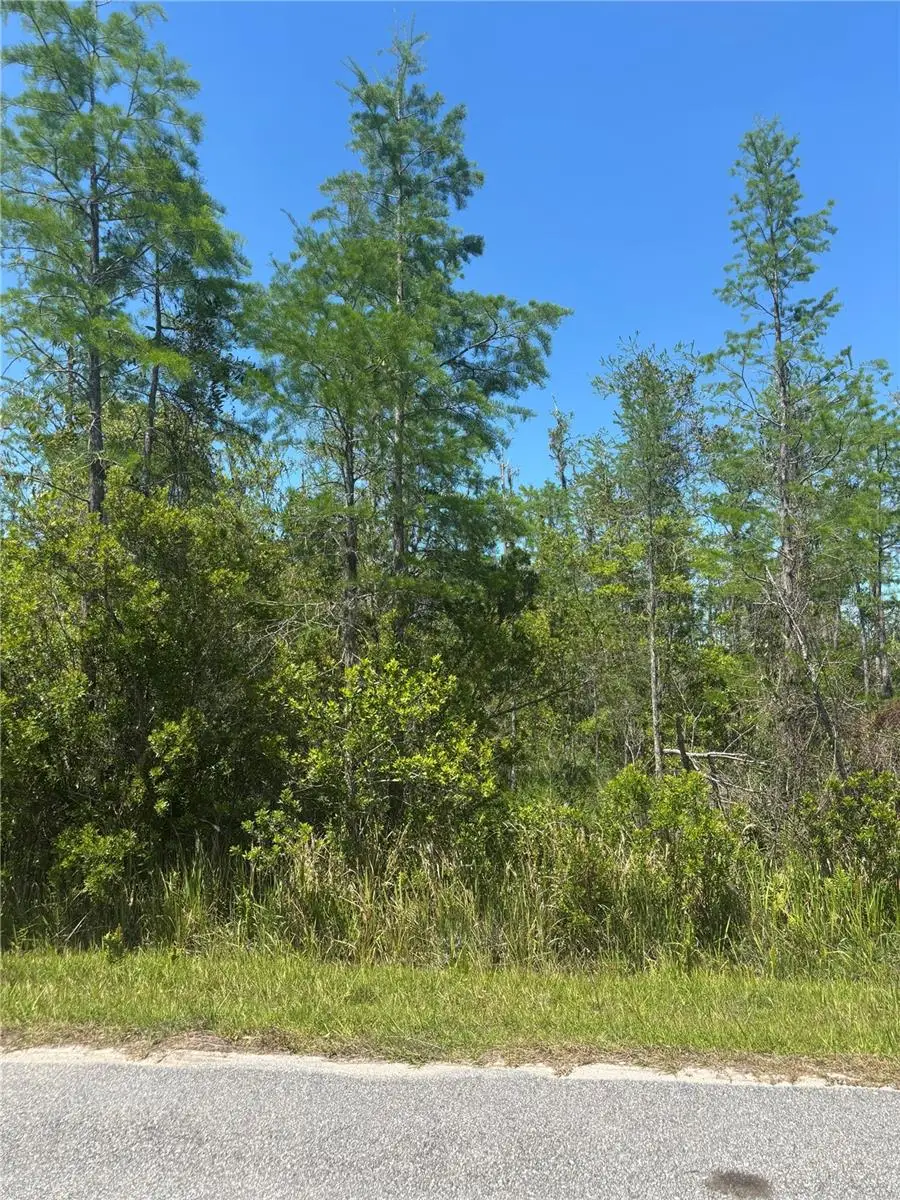 Atlas Drive, Saint Cloud, FL 34773 - #1