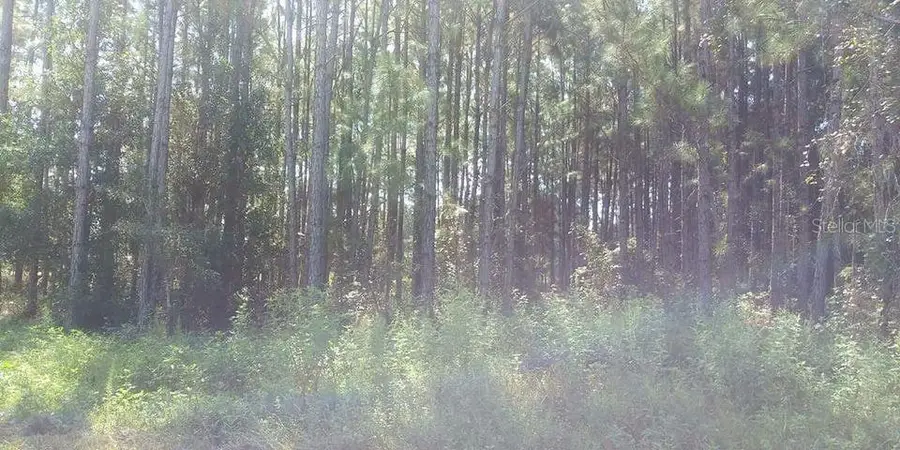 Poyner Road, Polk City, FL 33868 - #2