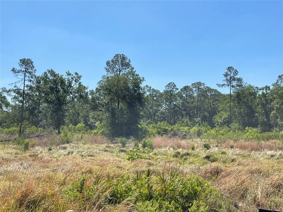 Avonwood, Tampa, FL 33625 - #1