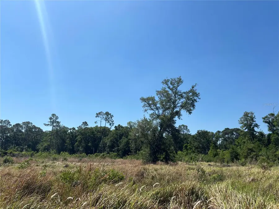 Avonwood, Tampa, FL 33625 - #2