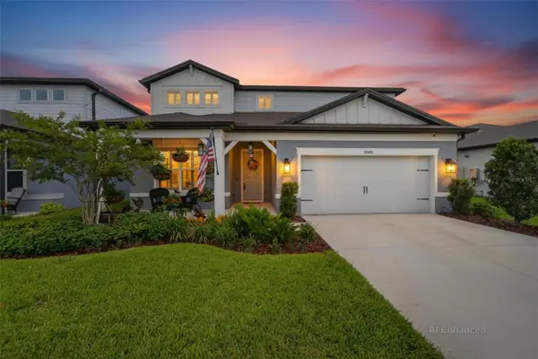 3899 Ivy Springs Lane, LAND O LAKES, FL 34638