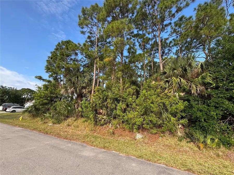 556 Burlington Avenue Ne, Palm Bay, FL 32907 - #3