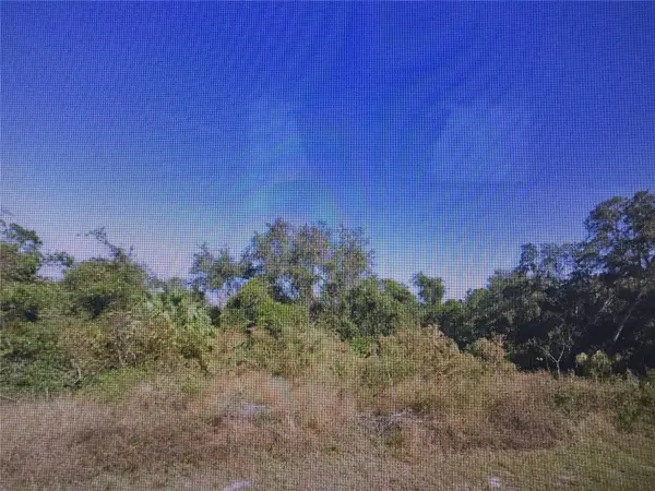 407 Baltic Court, KISSIMMEE, FL 34759