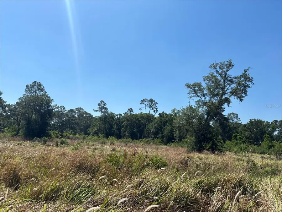 Ardenwood, Tampa, FL 33625 - #3