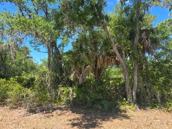 3137 Calexico Street, PORT CHARLOTTE, FL 33948