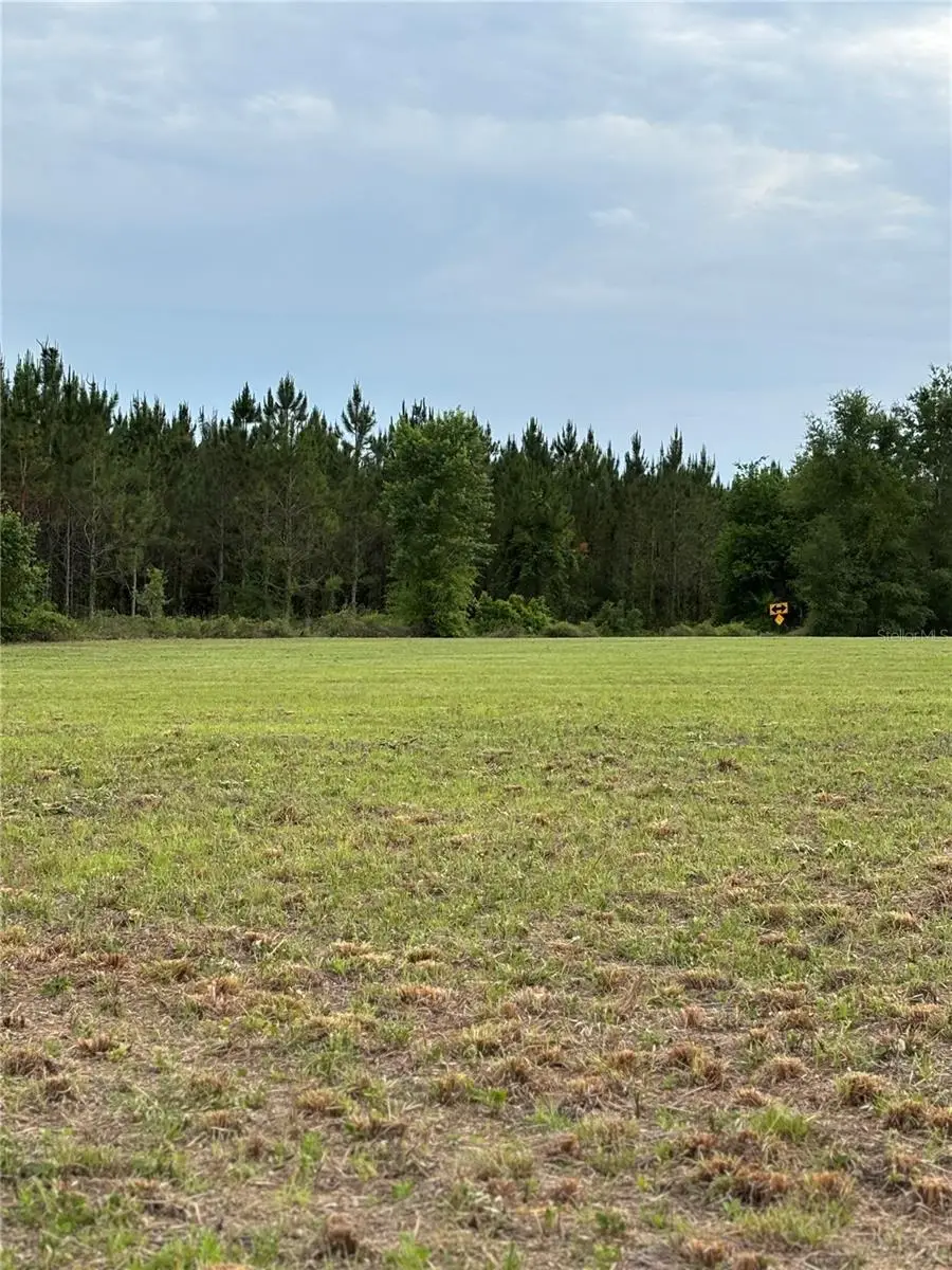 974 SW Sherlock Terrace, Lake City, FL 32024 - #1