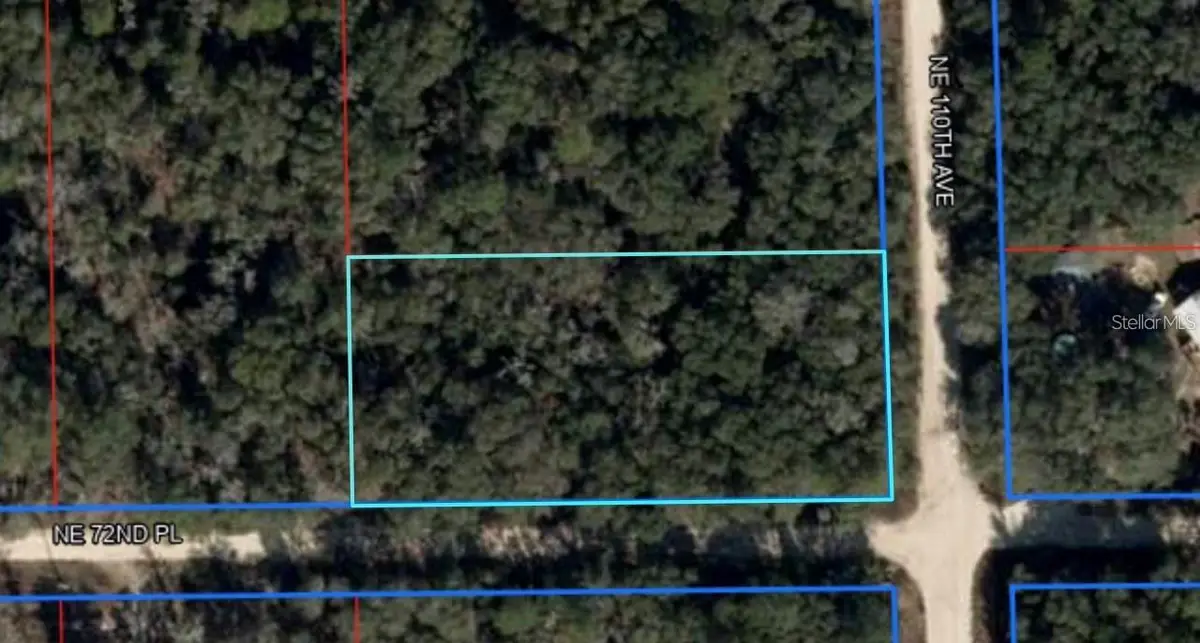 NE 110th Avenue, Bronson, FL 32621 - #1