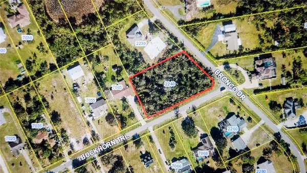 2240 Bronco Drive, ST CLOUD, FL 34771