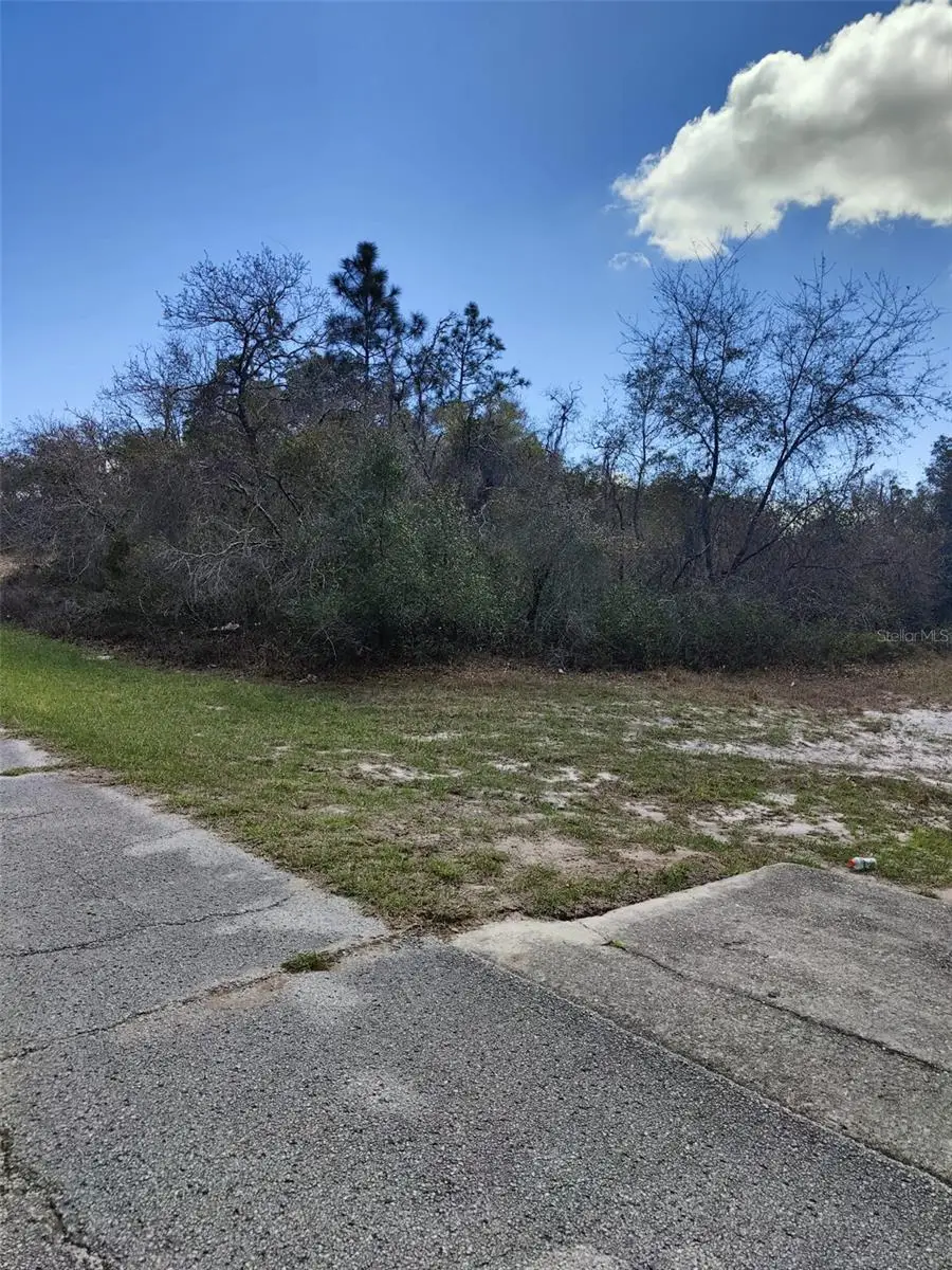 408 Vernon Court, Poinciana, FL 34759 - #3