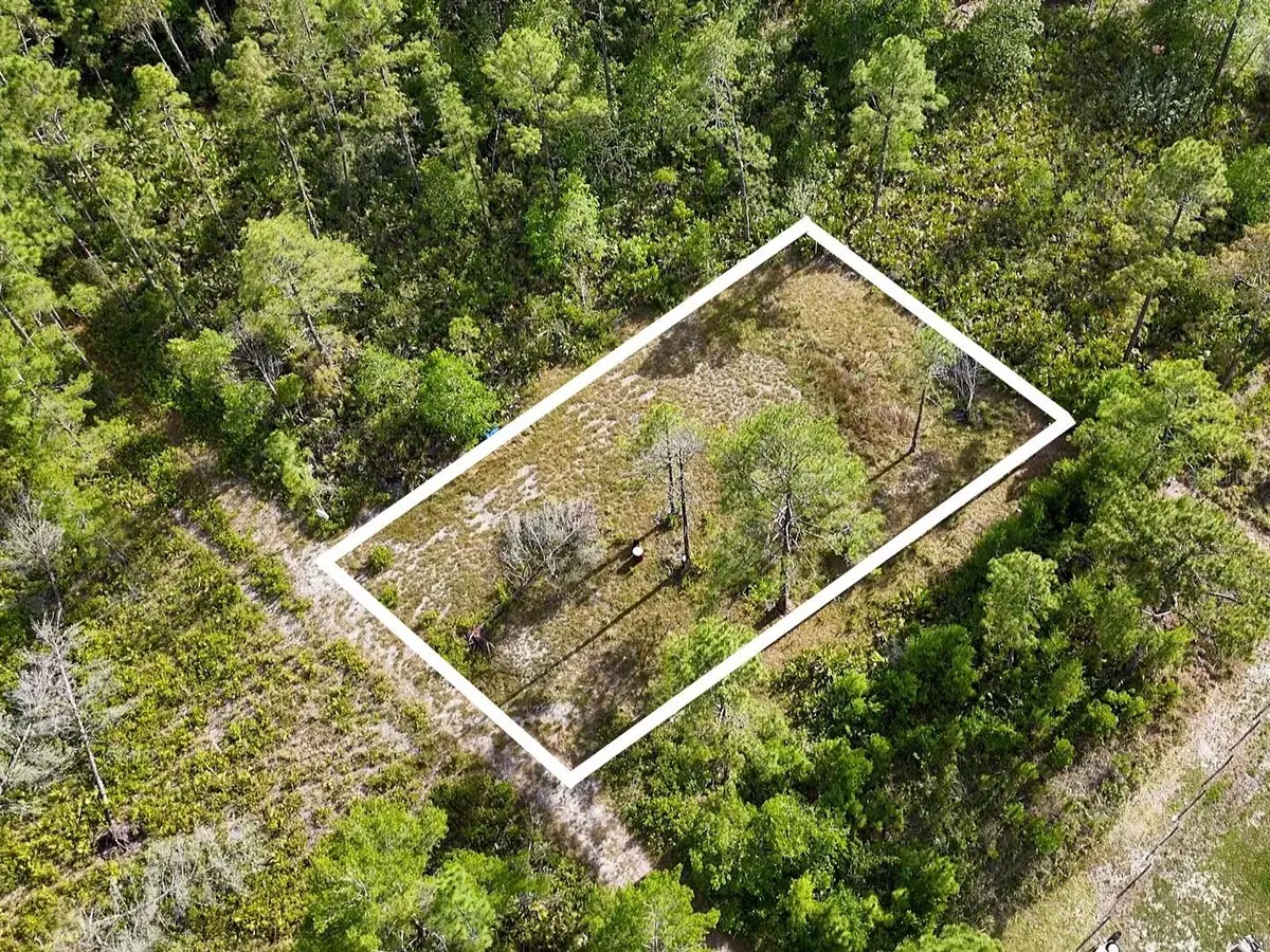 56309 Virginia Street, Paisley, FL 32767 - #1