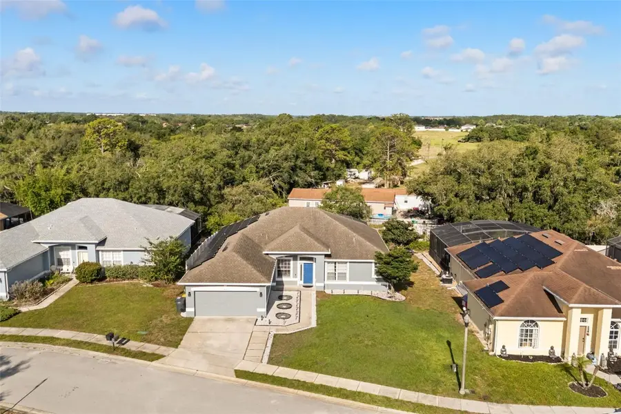 417 Wildflower Rd, Davenport, FL 33837 - #3