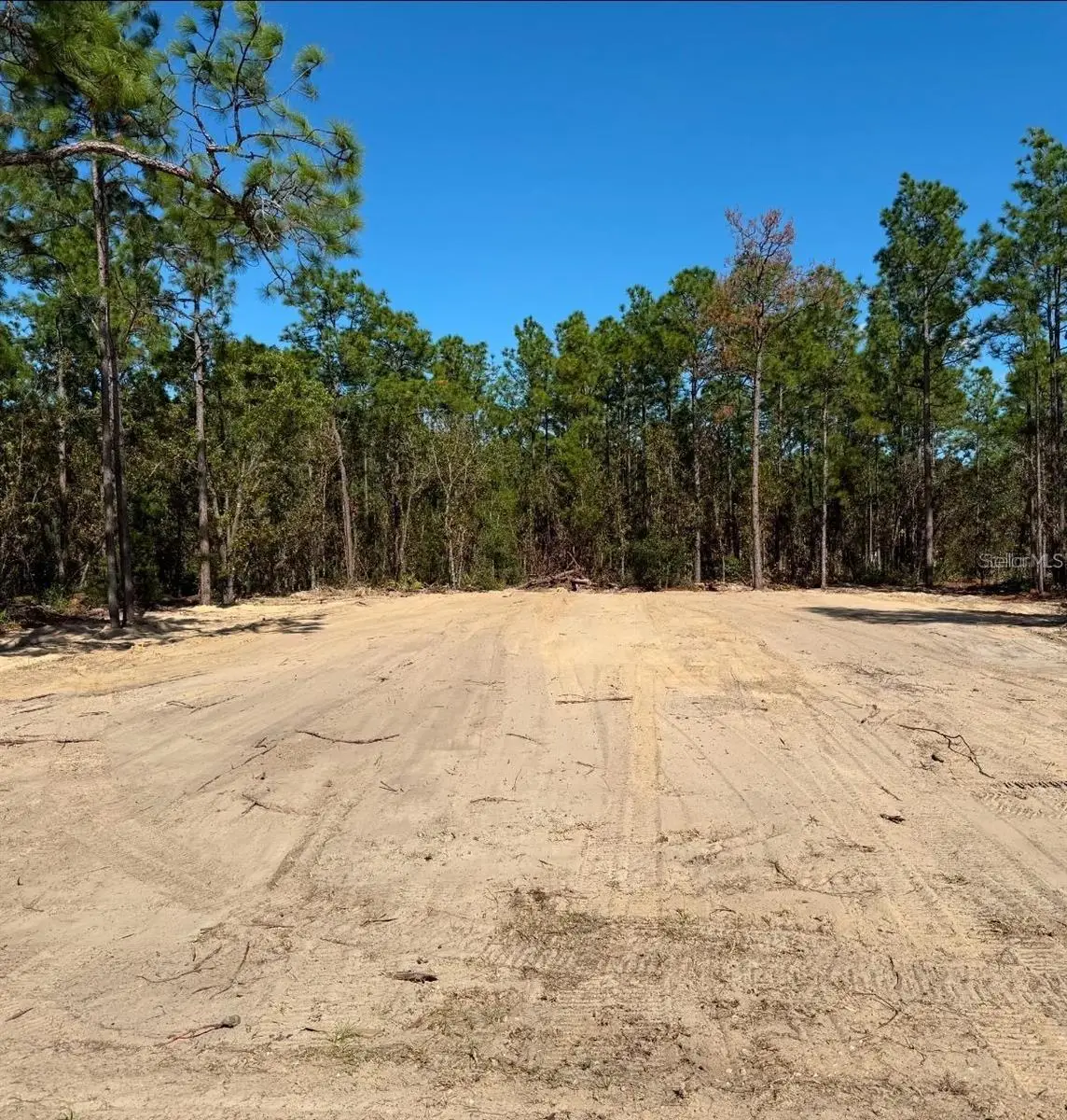 13831 SW 89th Circle, Ocala, FL 34473 - #1