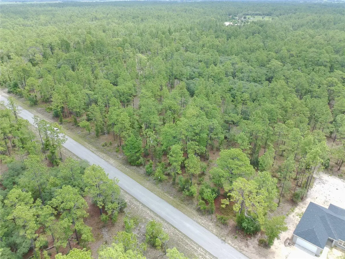 SW Buena Vista Road, Dunnellon, FL 34431 - #1